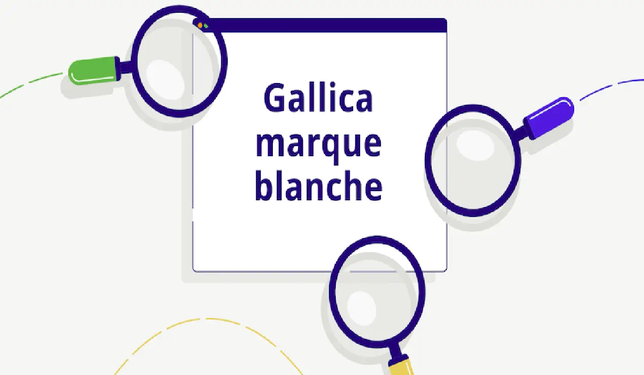 Les bibliothèques Gallica en marque blanche
